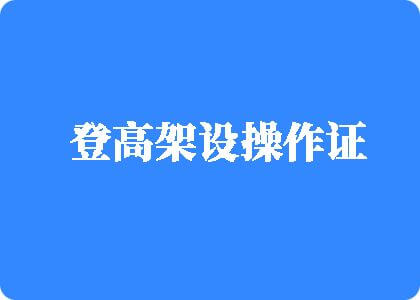 粉嫩少萝裸登高架设操作证