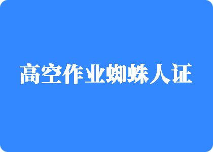 骚逼被操AV高空作业蜘蛛人证