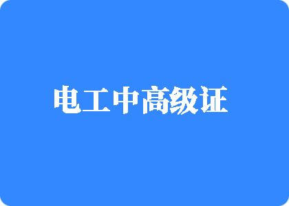 大鸡吧日逼免费电工中高级证